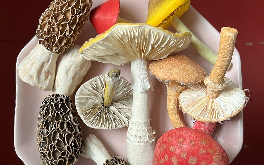 Fleshy Gills and Spotted Caps Sprout from Ann Wood’s Lifelike Paper Mushrooms